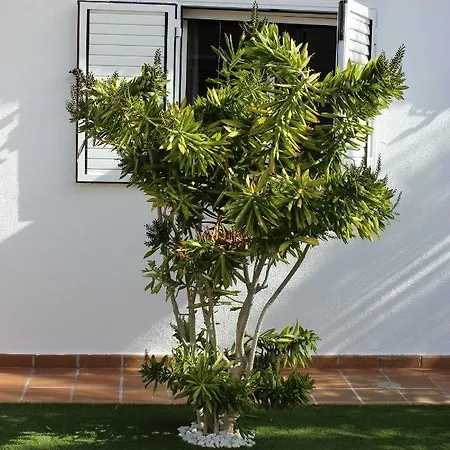 Taginaste Villa