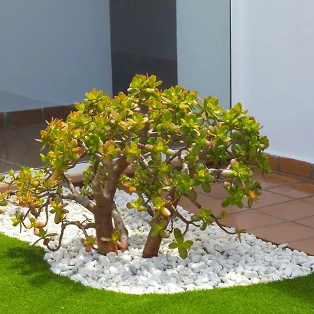 Villa Taginaste Corralejo
